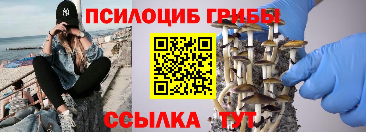 Псилоцибиновые грибы мицелий  Псилоцибиновые грибы прущие грибы  Шахты  Вход с VPN 