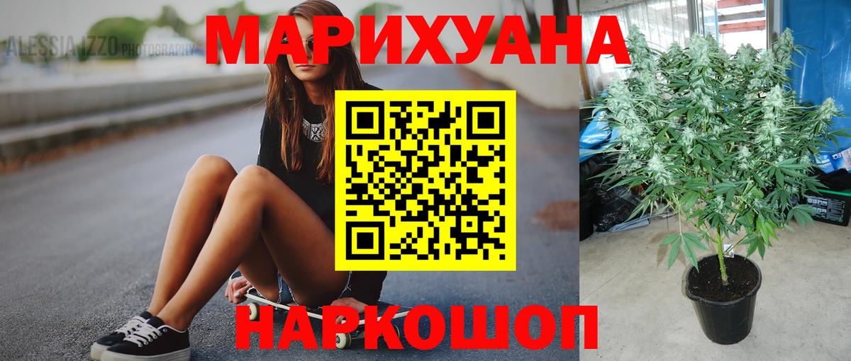 Шахты  Канабис White Widow  Каннабис тримм  Вход с VPN 
