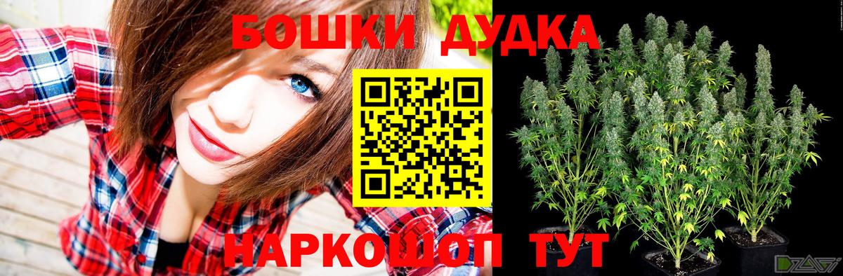 МАРИХУАНА ГИДРОПОН Шахты